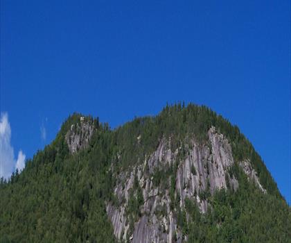 Sentier Alpine Cascades - randonnée en Grande Forêt du Nord