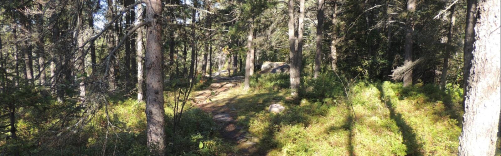 Sentier Parc De La Colline - randonnée en Saguenay - Lac-Saint-Jean