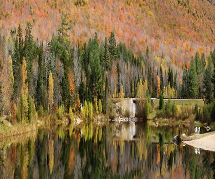 Sentier Flat Mountain Pond Shelter - randonnée en Montagnes Blanches