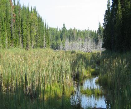 Sentier parc Woolastook - randonnée en Vallée de la rivière Saint-Jean