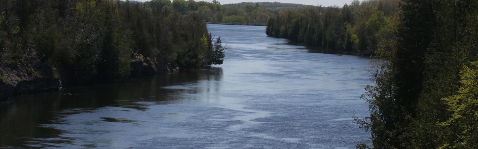 Sentier Ranney Gorge Suspension Bridge - randonnée en Campbellford