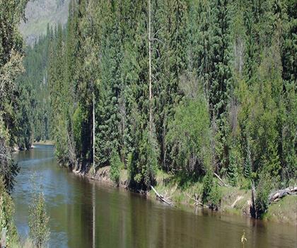 Conkle Lake trail - hiking in Kootenay Rockies