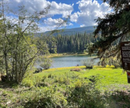 Blue Earth Lake Provincial Park trail - hiking in Thompson Okanagan