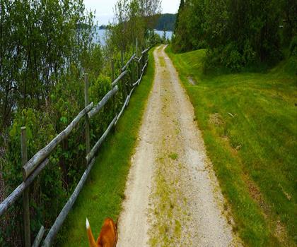 Sentier parc provincial Graves Island - randonnée en Rive-Sud