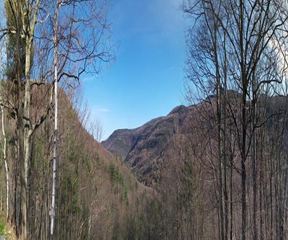 Kaaterskill Falls Trail Head trail - hiking in Catskills