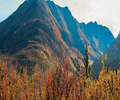 Sentier lac Beaver Mines - randonnée en Southern Rockies