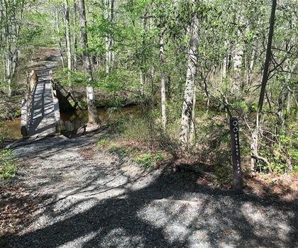 Shark River Park trail - hiking in Jersey Shore
