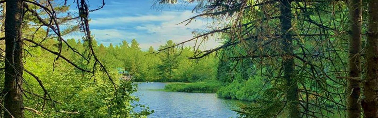Irishtown Nature Park trail - hiking in Southeast NB