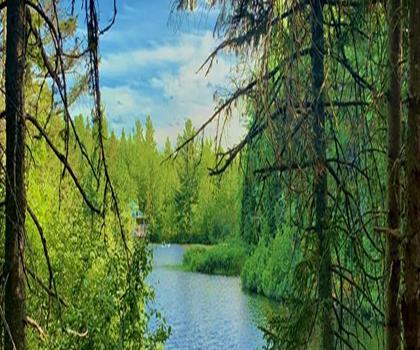 Irishtown Nature Park trail - hiking in Southeast NB
