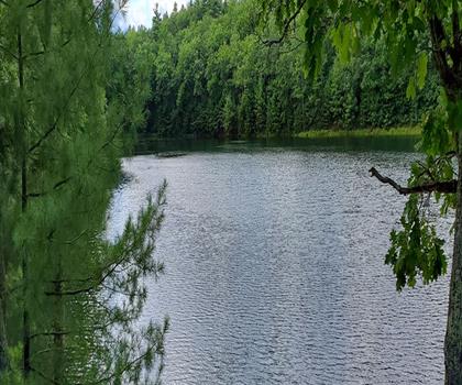 Sebago to the Sea Trail trail - hiking in Greater Portland & Casco Bay