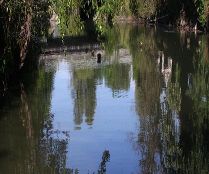 Sentier lac Whitaker - randonnée en Southwest Ontario