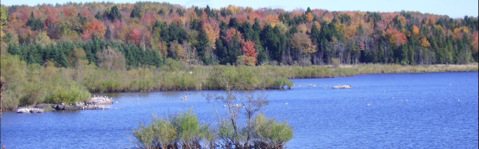 Randonnée Parc national de la Yamaska - vue panoramique
