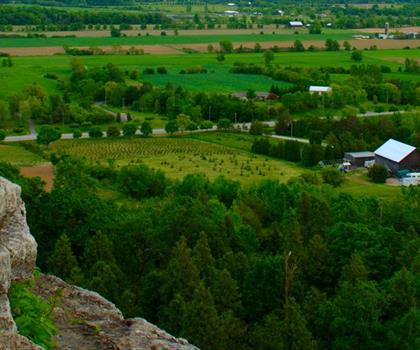 Rattlesnake Point Conservation Area (Reservations Required) trail - hiking in Hamilton, Halton and Brant