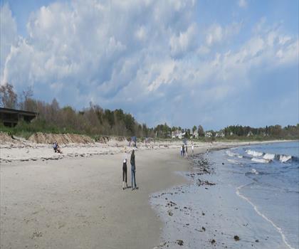Crescent Beach State Park trail - hiking in Greater Portland & Casco Bay