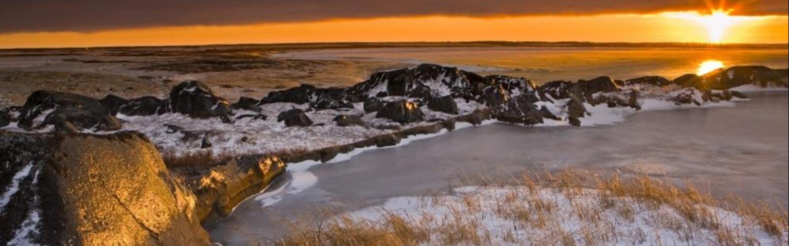 Sentier Les Sentiers Naturels D'hudson - randonnée en Montérégie