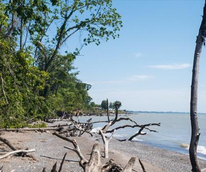Sentier parc provincial Wheatley - randonnée en Southwest Ontario