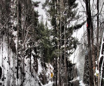 Sentier lac Kahshe - randonnée en Algonquin Park, Almaguin Highlands, Muskoka and Parry Sound