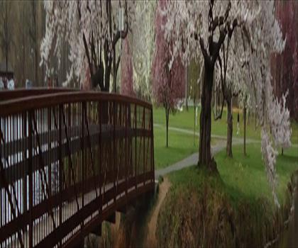 Nomahegan Park trail - hiking in Central New Jersey