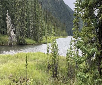 Sentier Rock Lake Provincial Recreation Area - randonnée en Canadian Rockies