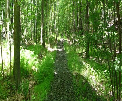Egbert's Lake Park trail - hiking in Northern New Jersey
