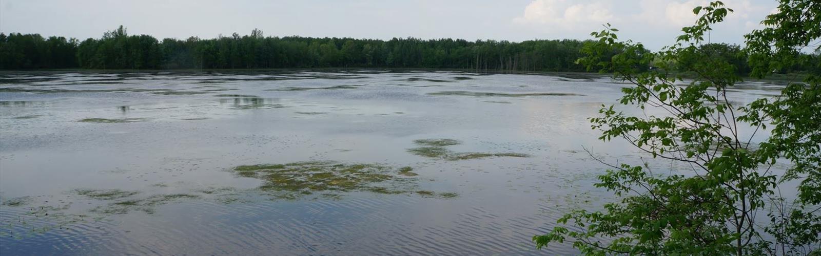 Sentier lac Pinehurst - randonnée en Brant