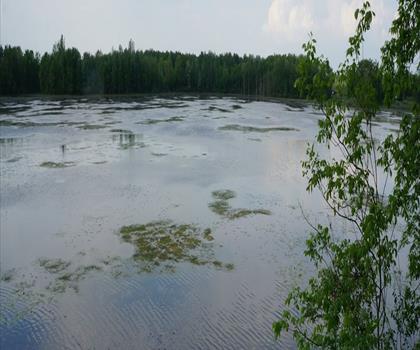 Cambridge to Paris Rail-Trail trail - hiking in Hamilton, Halton and Brant