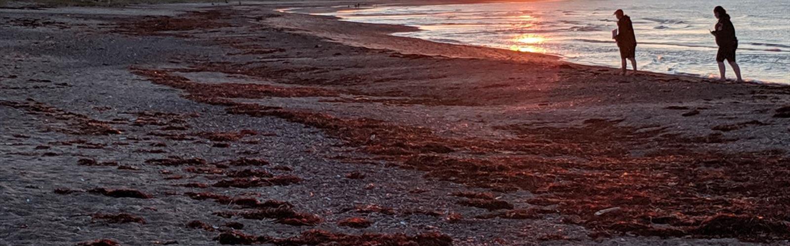 Melmerby Beach Provincial Park trail - hiking in Northumberland Shore