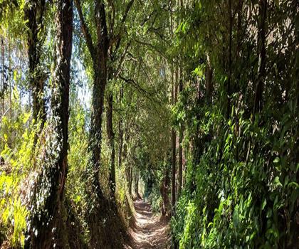 The Sylvan trail trail - hiking in Greater Portland & Casco Bay