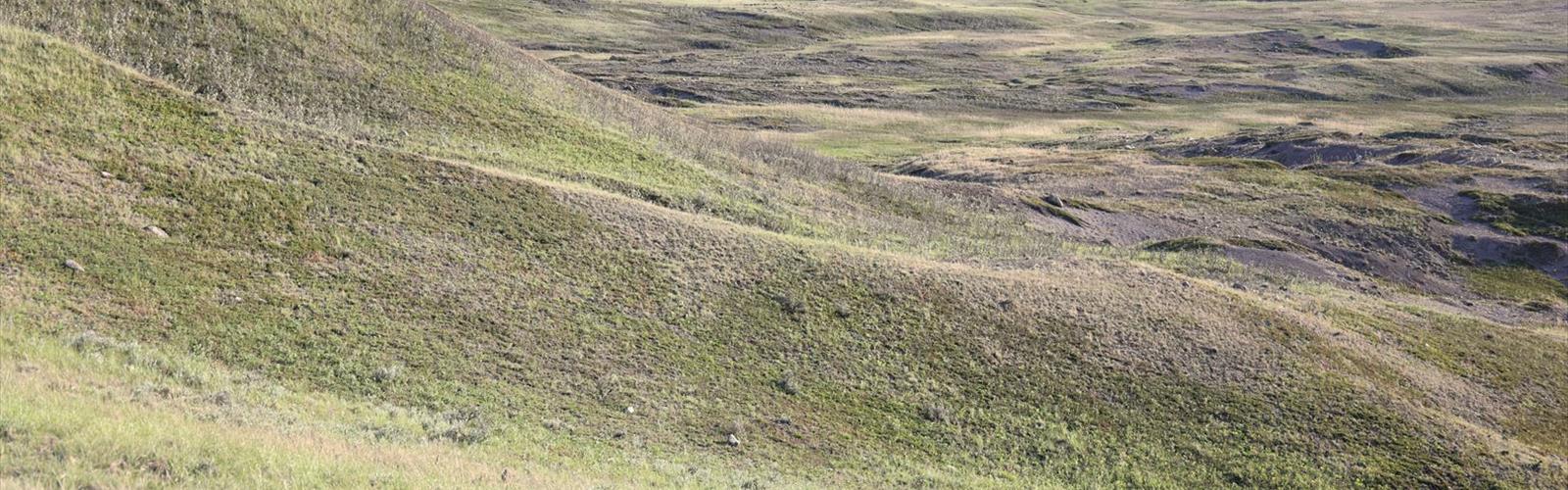 Sentier parc national Grasslands - randonnée en Living Skies & Badlands