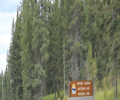 Whiteswan Lake trail - hiking in Kootenay Rockies