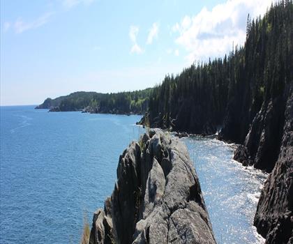 Cutler Coast Public Reserved Land trail - hiking in Down East & Acadia