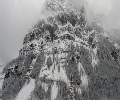 Mount Stephen trail - hiking in Kootenay Rockies