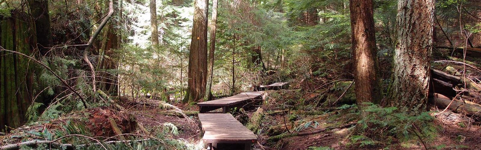Lynn Valley Trails trail - hiking in Southwest Ontario