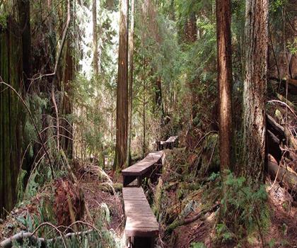 Lynn Valley Trails trail - hiking in Southwest Ontario
