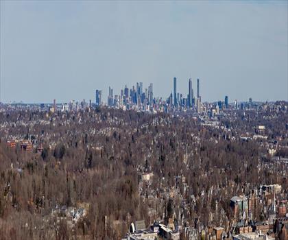 Sentier Prospect Hill Park - randonnée en Grand Boston