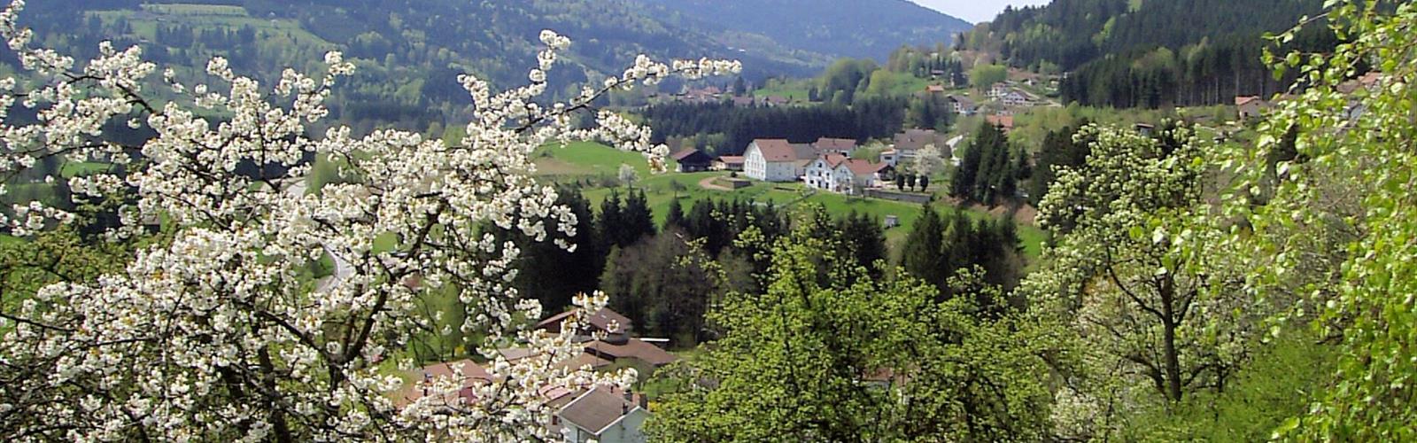 Cascade de la Pissoire trail - hiking in Vosges