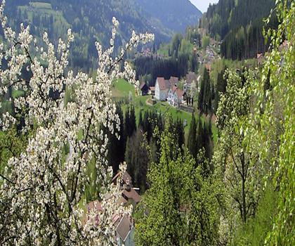 Cascade de la Pissoire trail - hiking in Vosges