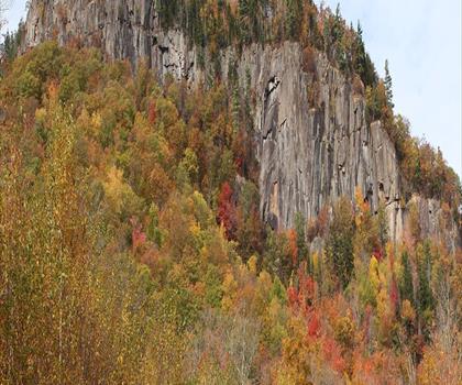 Sentier Frankenstein Cliff - randonnée en Montagnes Blanches