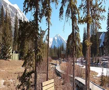 Policeman Creek Trail trail - hiking in Canadian Rockies