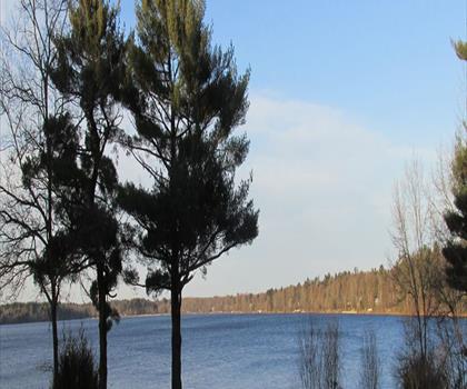 Sentier lac Massapoag - randonnée en Grand Boston