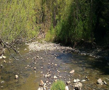 Hunters Creek County Park trail - hiking in Niagara Falls
