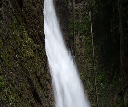 Margaret Falls trail - hiking in Kootenay Rockies