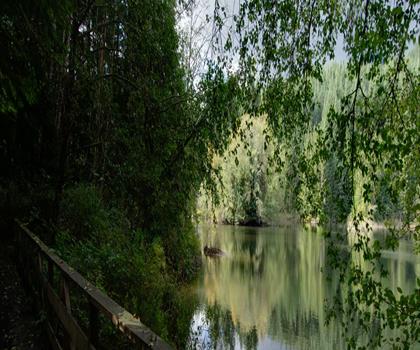Lynn Headwaters Regional Park trail - hiking in Vancouver Coast Mountains