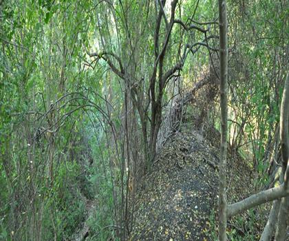 Melville Ponds Campground trail - hiking in East Bay