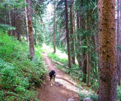 Beckwith Park trail - hiking in Haliburton Highlands to the Ottawa Valley