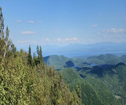 Poke trail - hiking in Adirondacks
