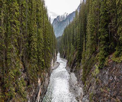 Sentier Stewart Canyon bridge - randonnée en Canadian Rockies