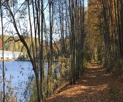 Mowry Conservation Area trail - hiking in Blackstone Valley
