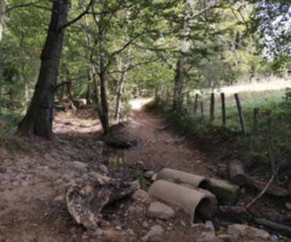 Sentier De L'Yzeron trail - hiking in Rhône