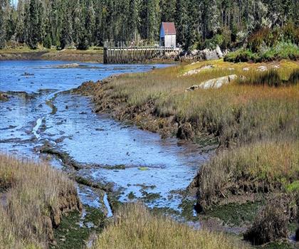 Anchorage Provincial Park trail - hiking in Southwest NB